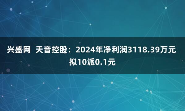 兴盛网  天音控股：2024年净利润3118.39万元 拟10派0.1元