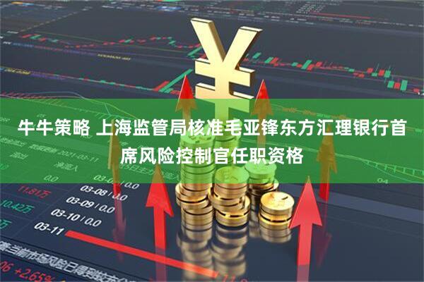 牛牛策略 上海监管局核准毛亚锋东方汇理银行首席风险控制官任职资格