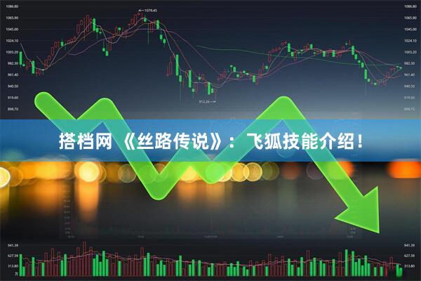 搭档网 《丝路传说》：飞狐技能介绍！